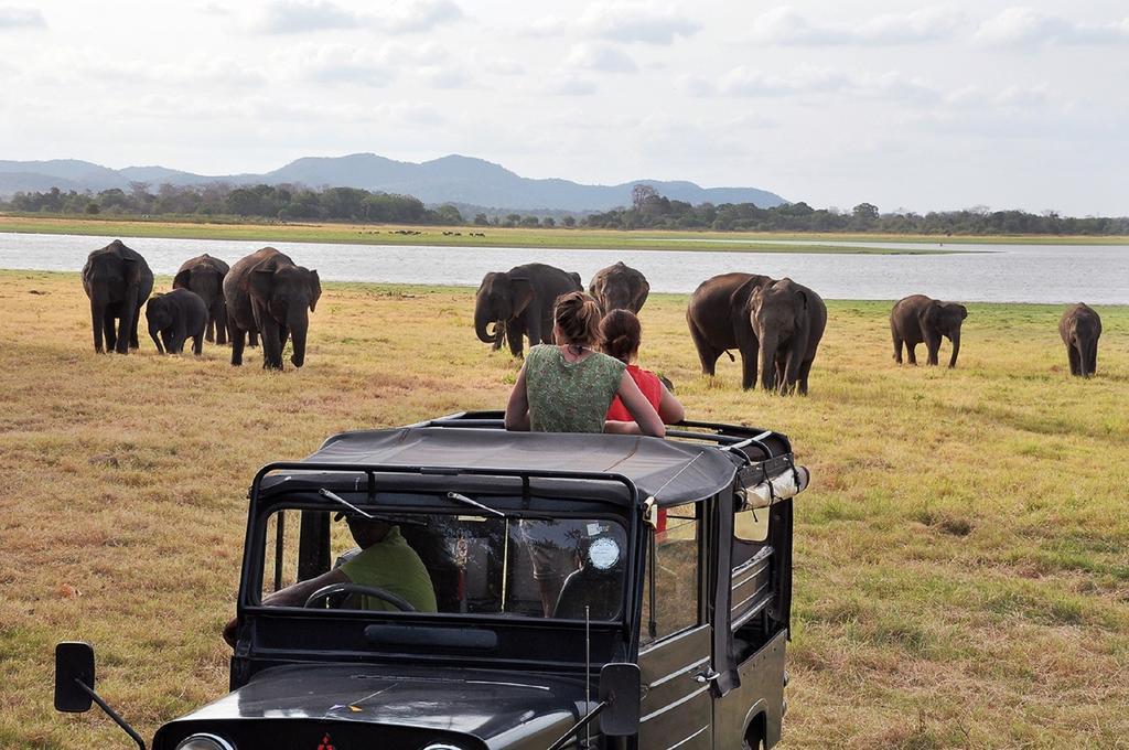 Siyanco 3* Polonnaruwa